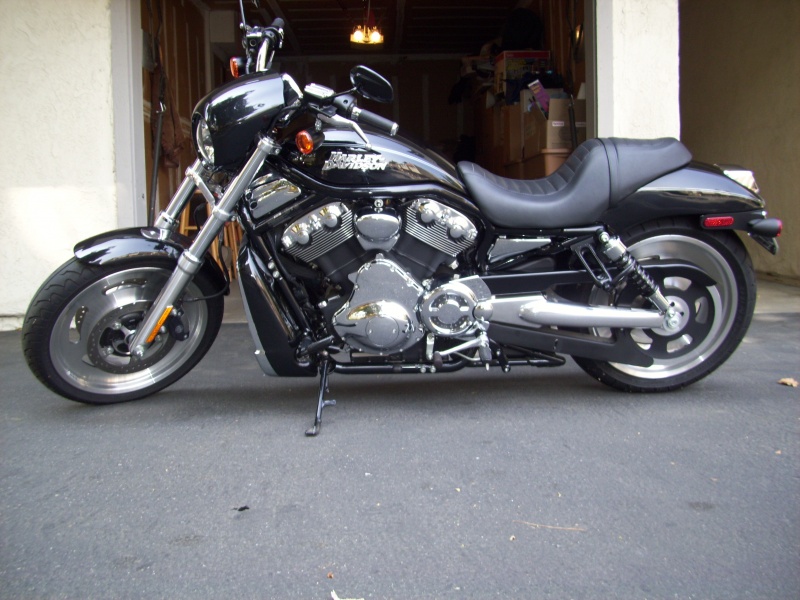 2006 Harley Davidson Nightrod VRSCD