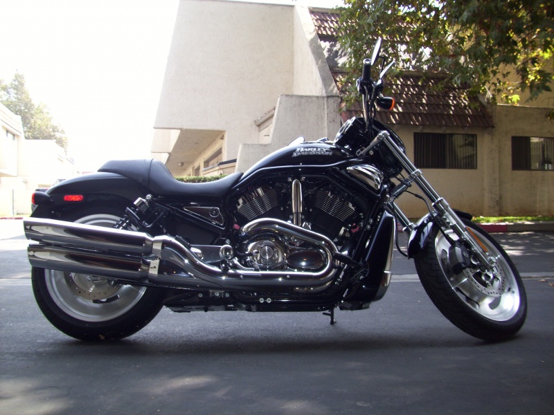 2006 Harley Davidson Nightrod VRSCD