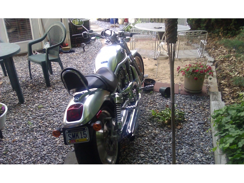 Rear View of the VROD!