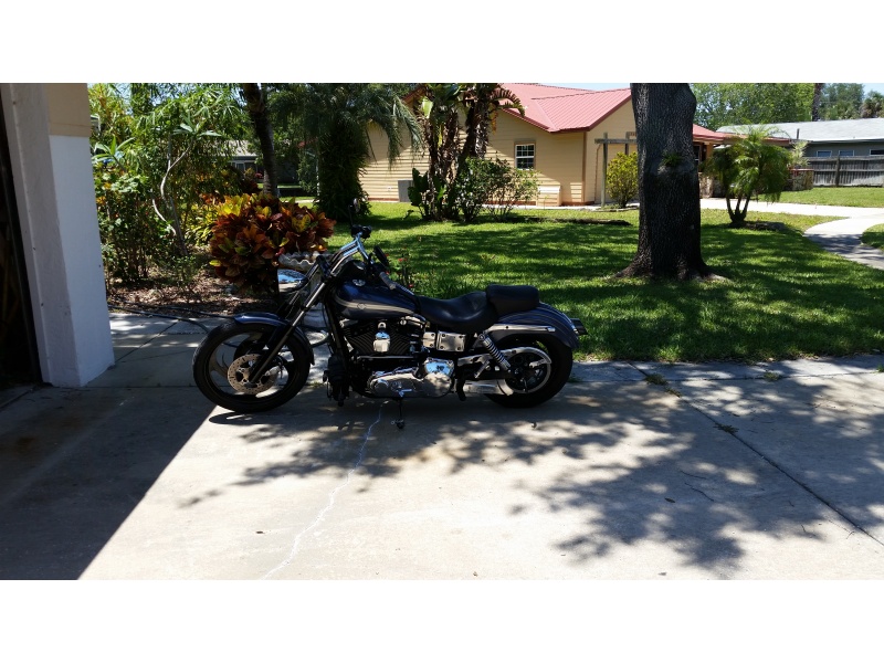 Another Recent Photo